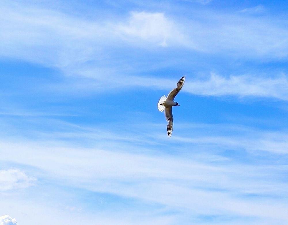 Photograph by Лукина Наталья