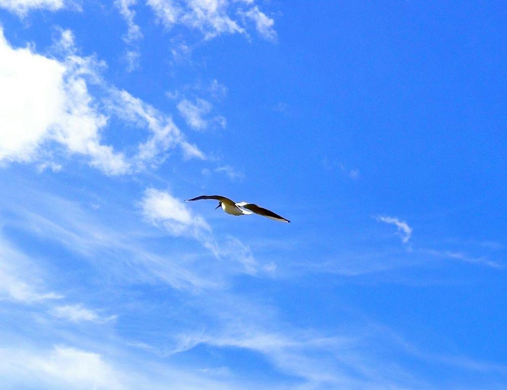 Photograph by Лукина Наталья