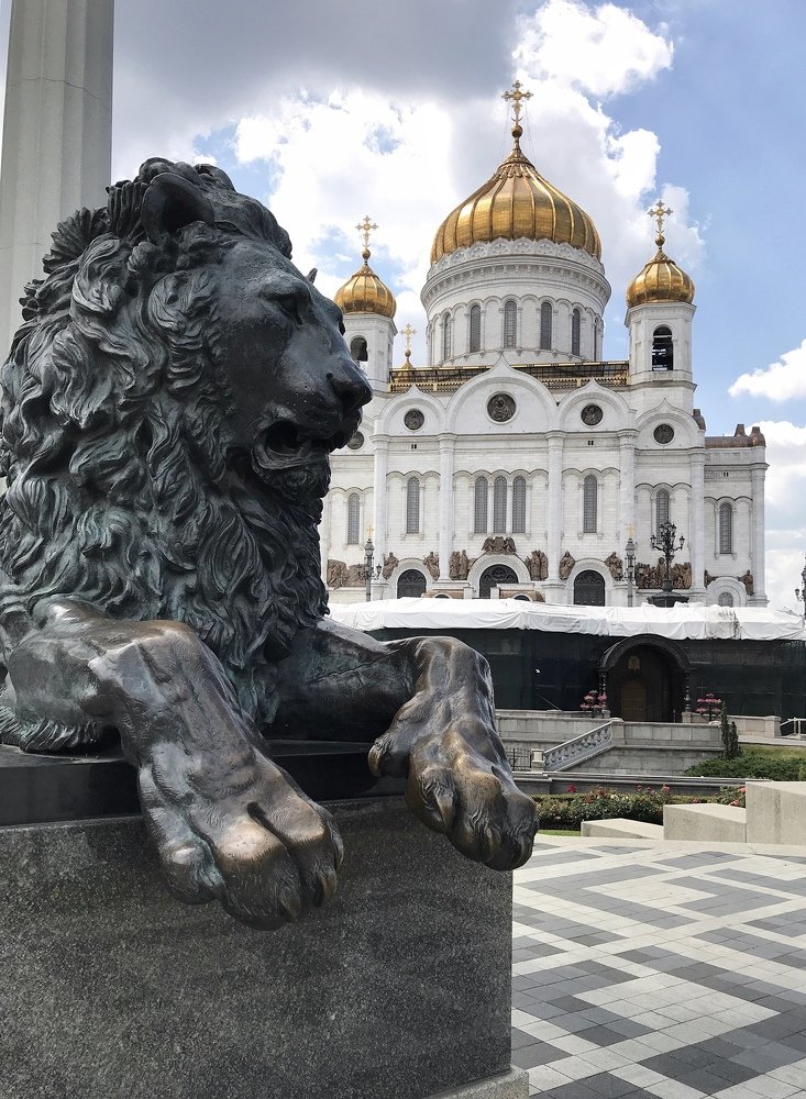 Photograph by Olga Yankus