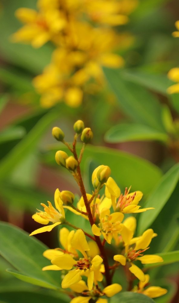 Photograph by  Reena