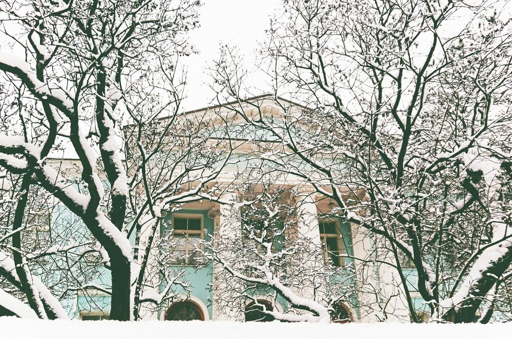 Photograph by Лукина Наталья