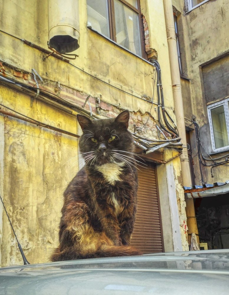 Photograph by Вульф Алиса