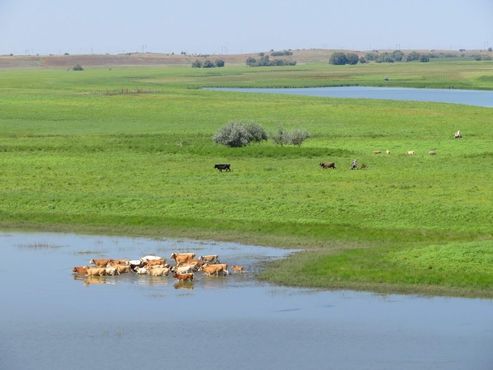 Photograph by Вульф Алиса