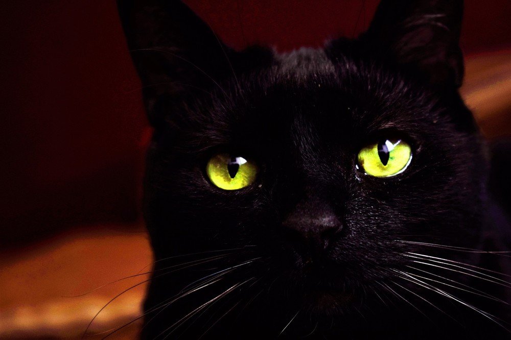 Photograph by Germán Garibay