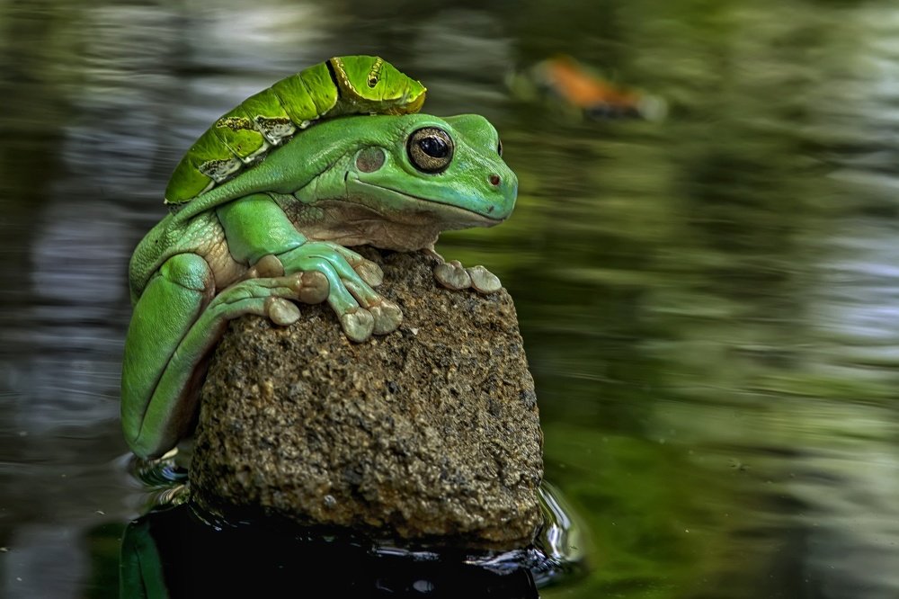 Photograph by Imam Primahardy