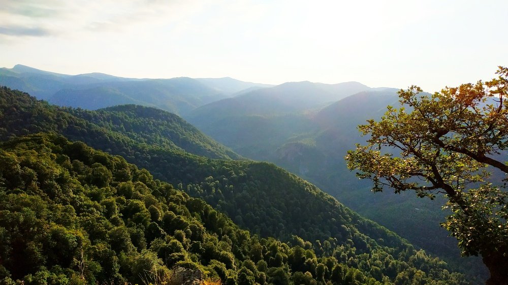 Photograph by Джемма Манукян