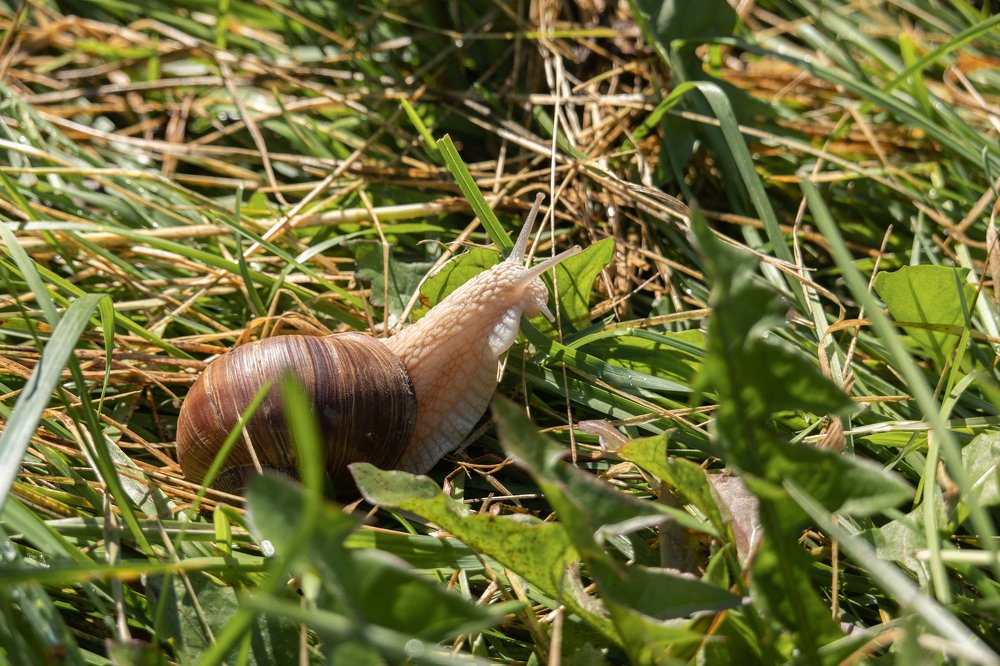 Photograph by Nastja Asipkina