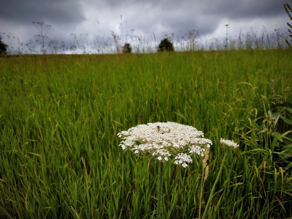 Photograph by Джемма Манукян