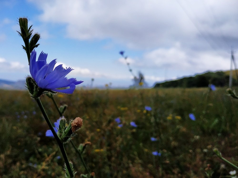 Photograph by Джемма Манукян
