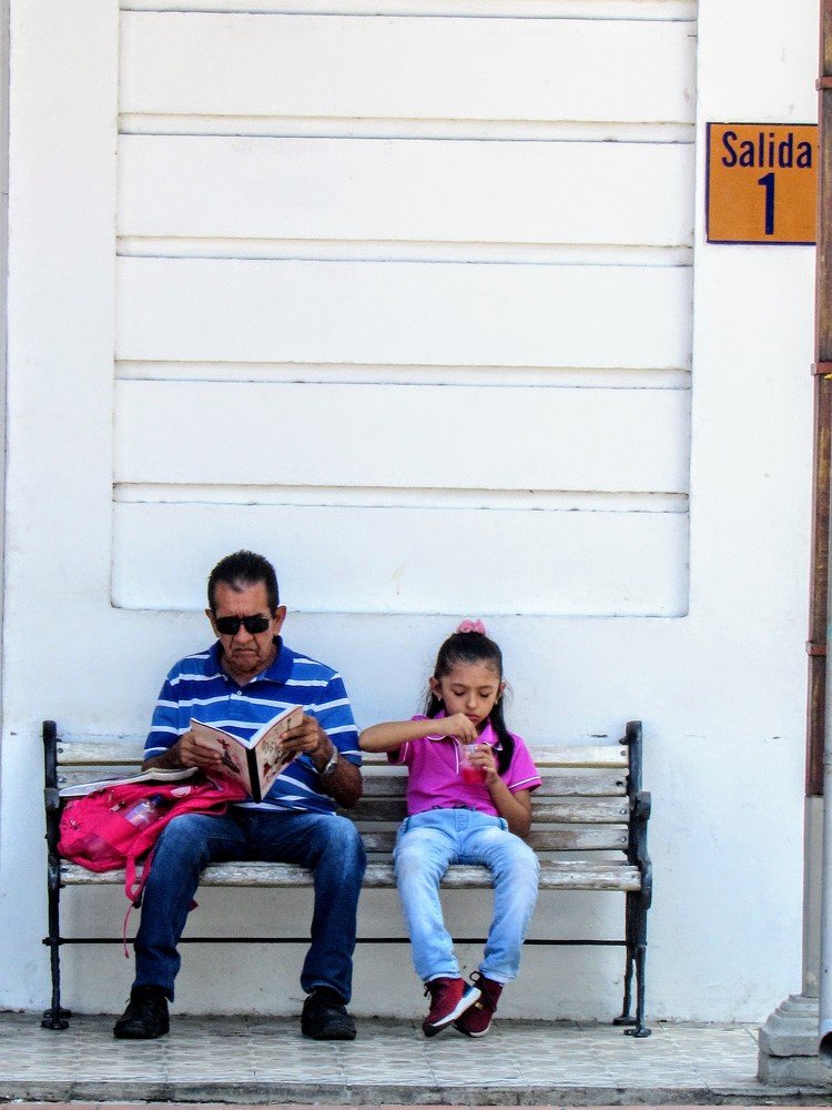 Nunca es tarde para aprender ciclo de vida y conocimiento