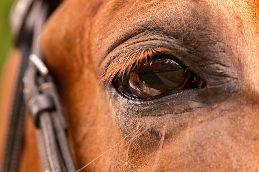 Photograph by Сергей Спритнюк