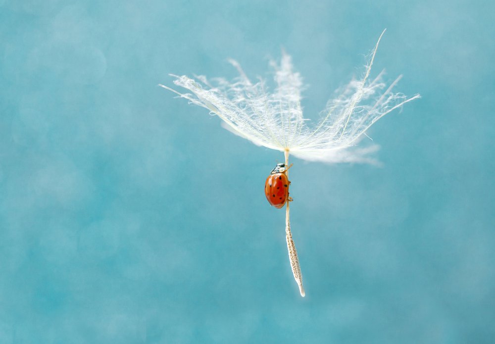 Photograph by Анна Малютина