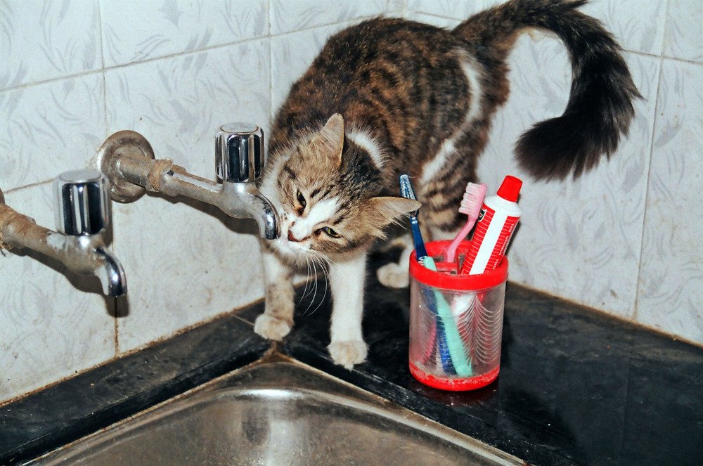 Photograph by subhash purohit