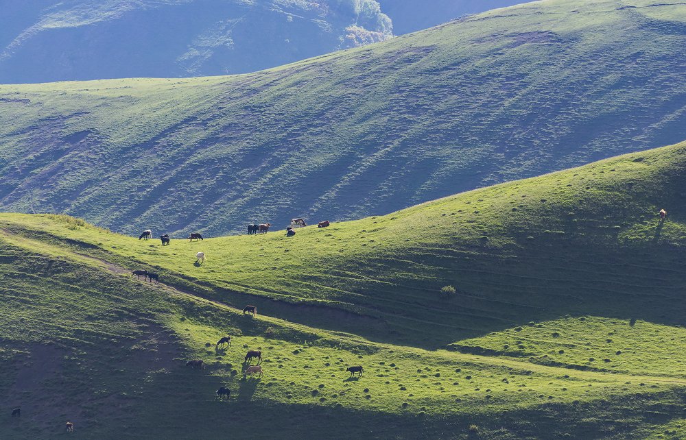 Photograph by Дмитрий Новоселов