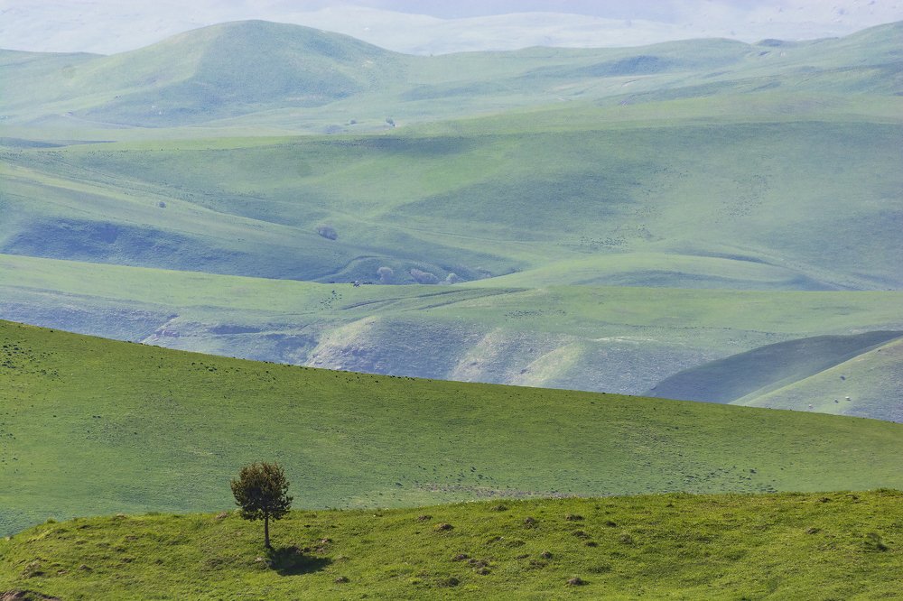 Photograph by Дмитрий Новоселов