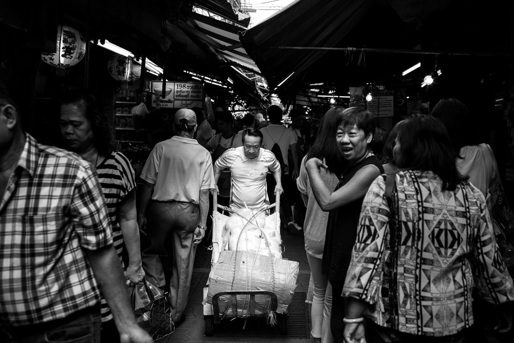 Photograph by Samuel Alexandre