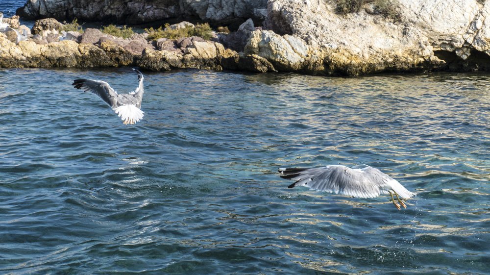 Photograph by Spiros Xenos