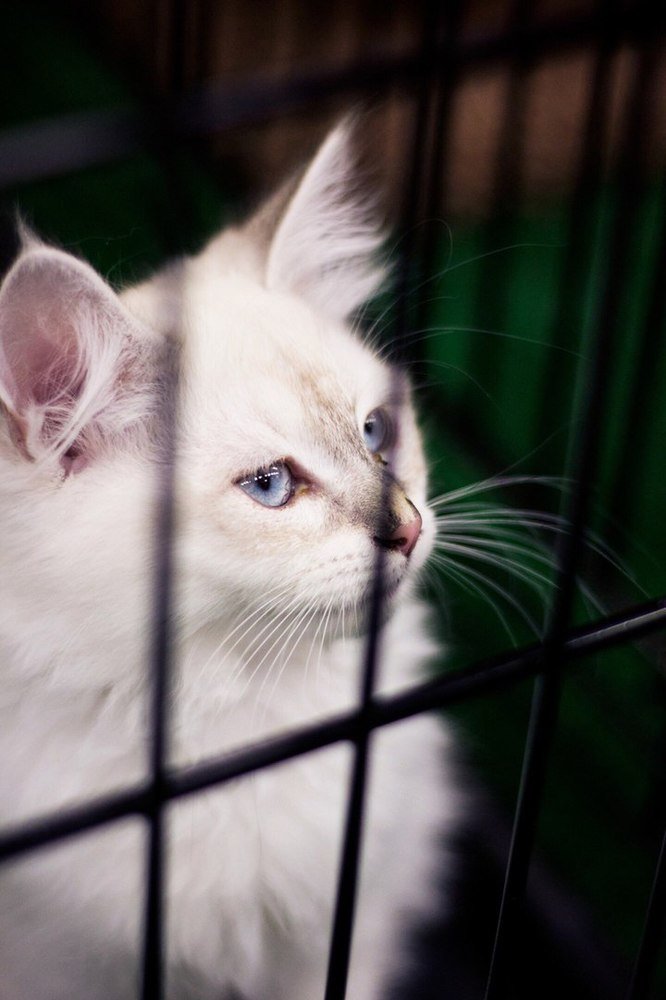 Photograph by Элина Данелия