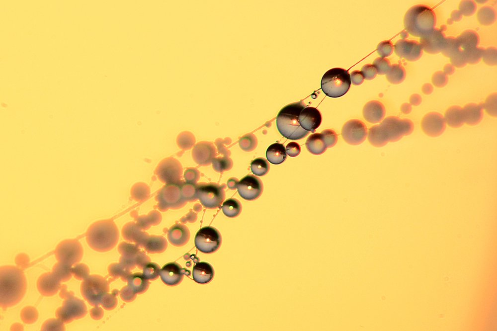 Photograph by Ромил Федоров