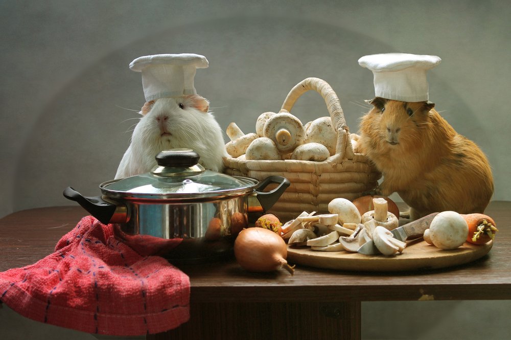 Лучшие повара ресторана