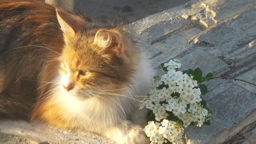 Photograph by Александра