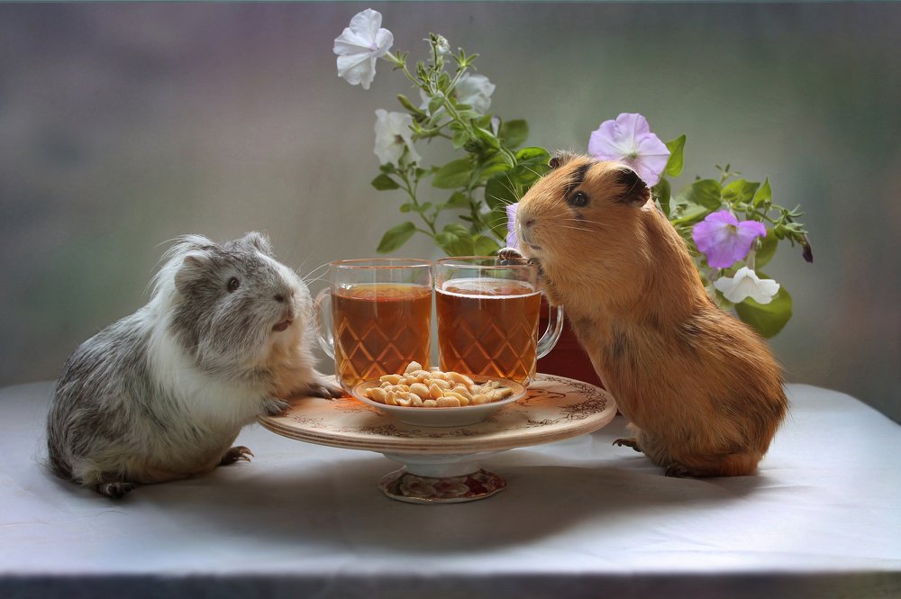 Мужской разговор