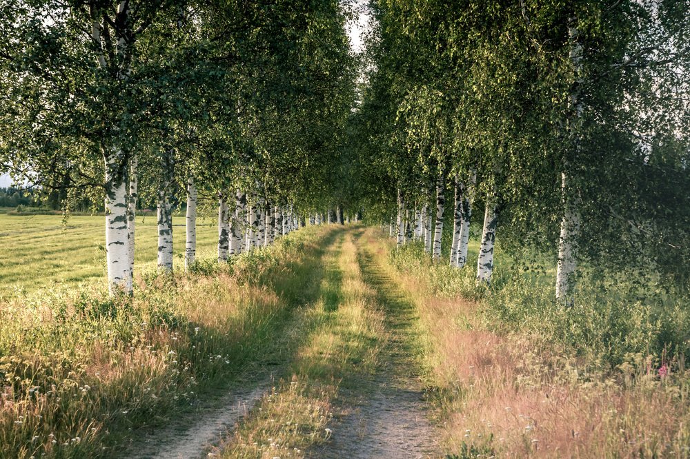 Photograph by Владимир Матвеев