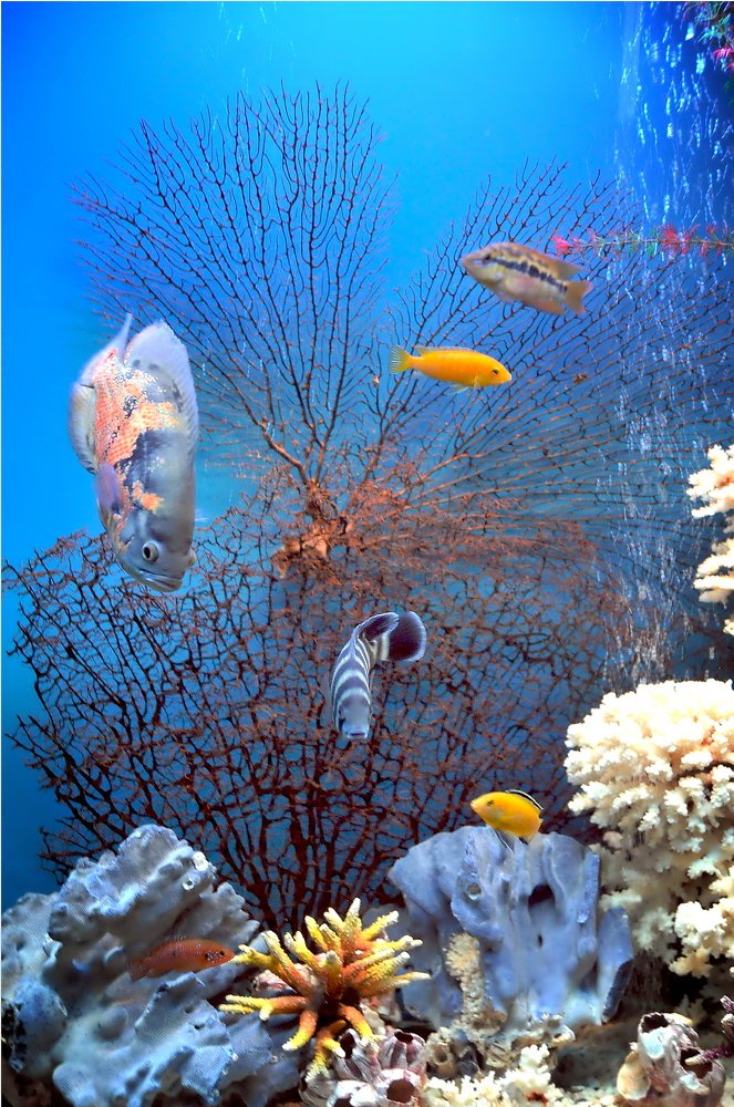 Photograph by Анатолий Погорелов