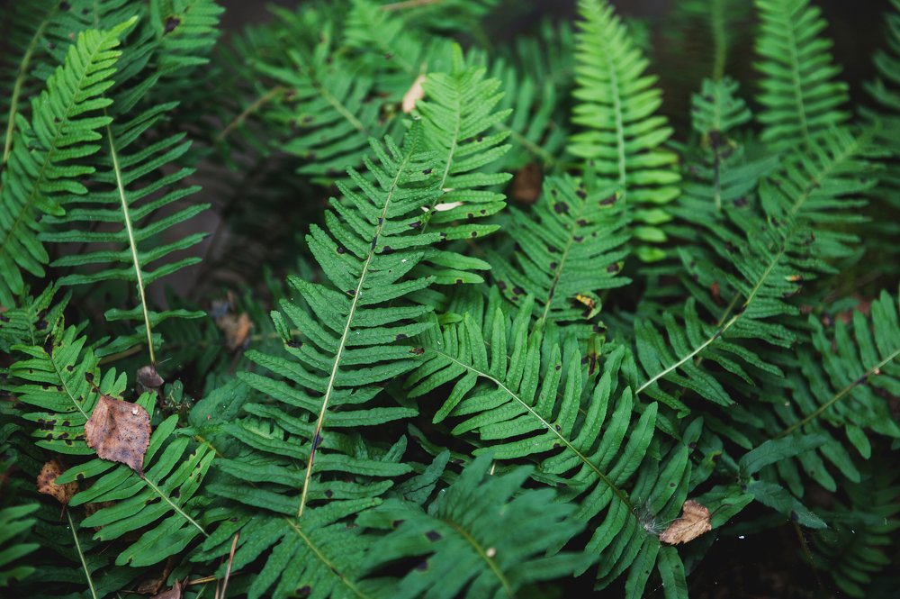 Photograph by Яна Краснопевцева