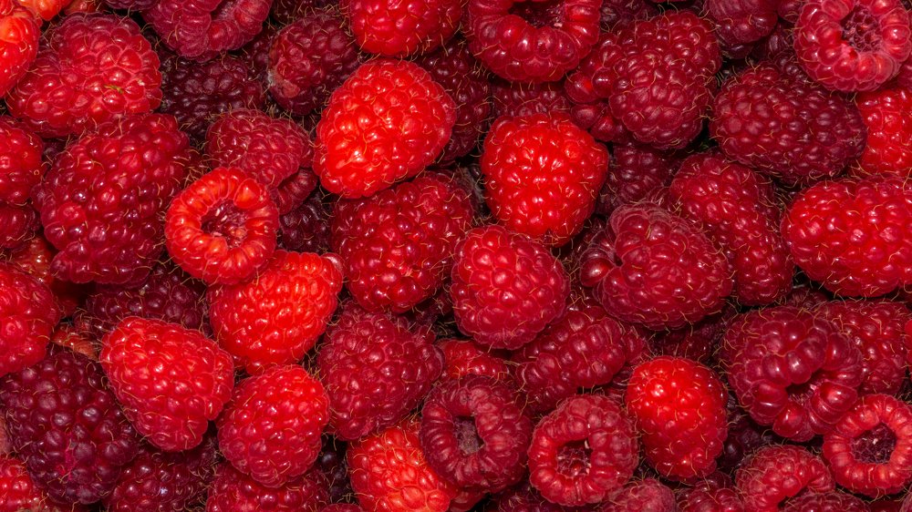 Photograph by Милен Младенов