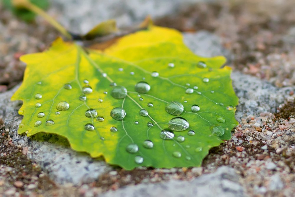 уходящее лето