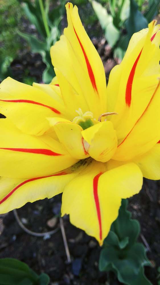 Photograph by Максим Сурнин