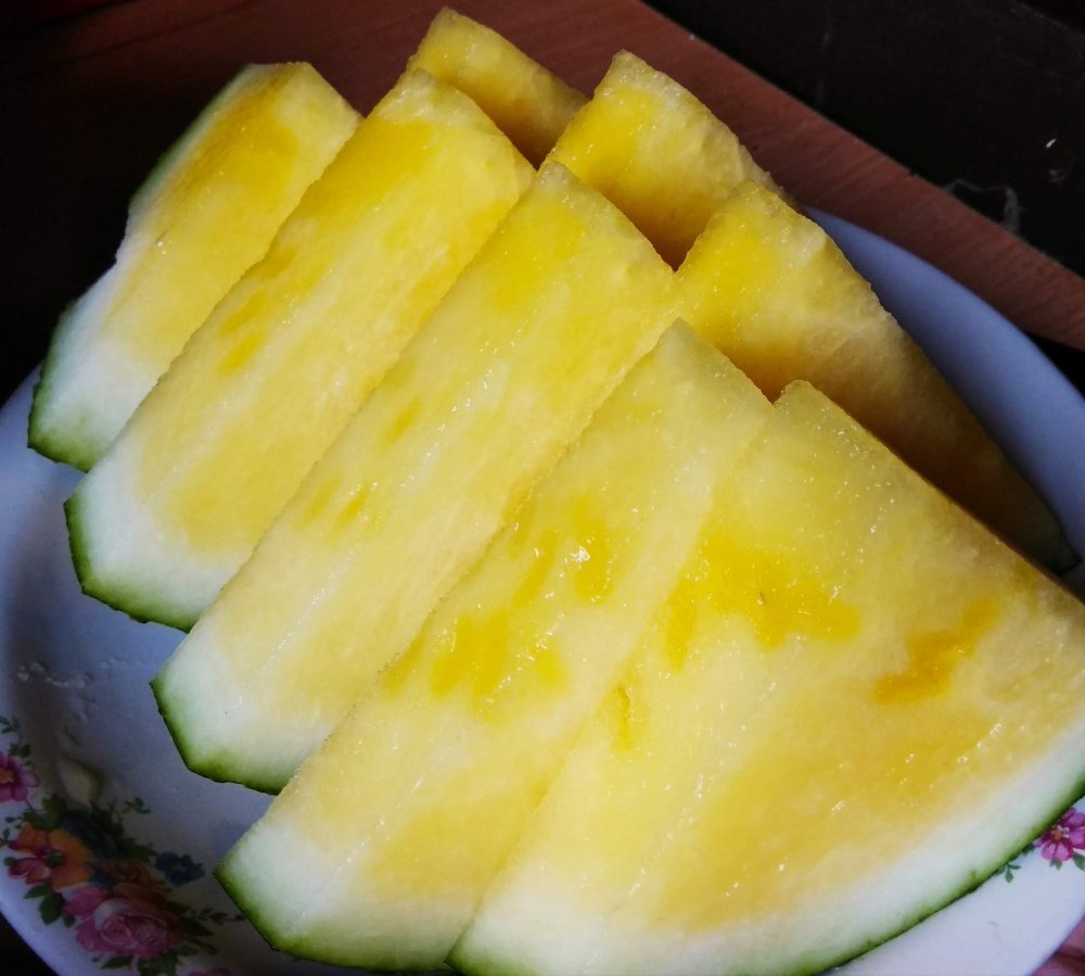 Photograph by Максим Сурнин