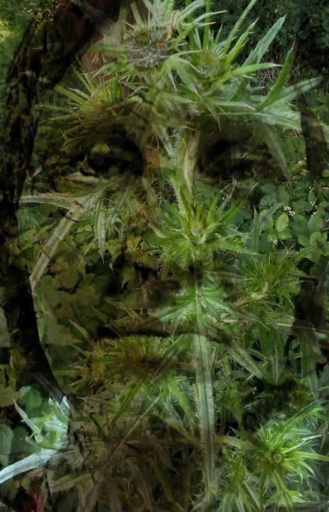 Фотография автора Valentin Claes