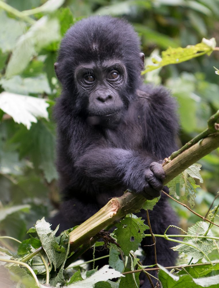 Photograph by Karin salvucci