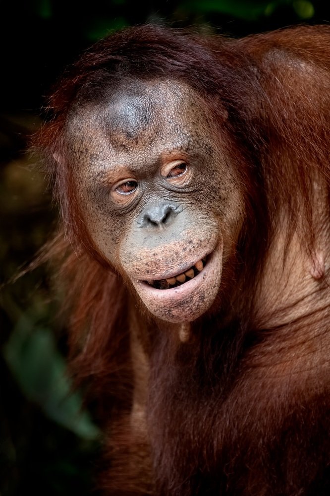 Photograph by Zaheer Abdul rahman