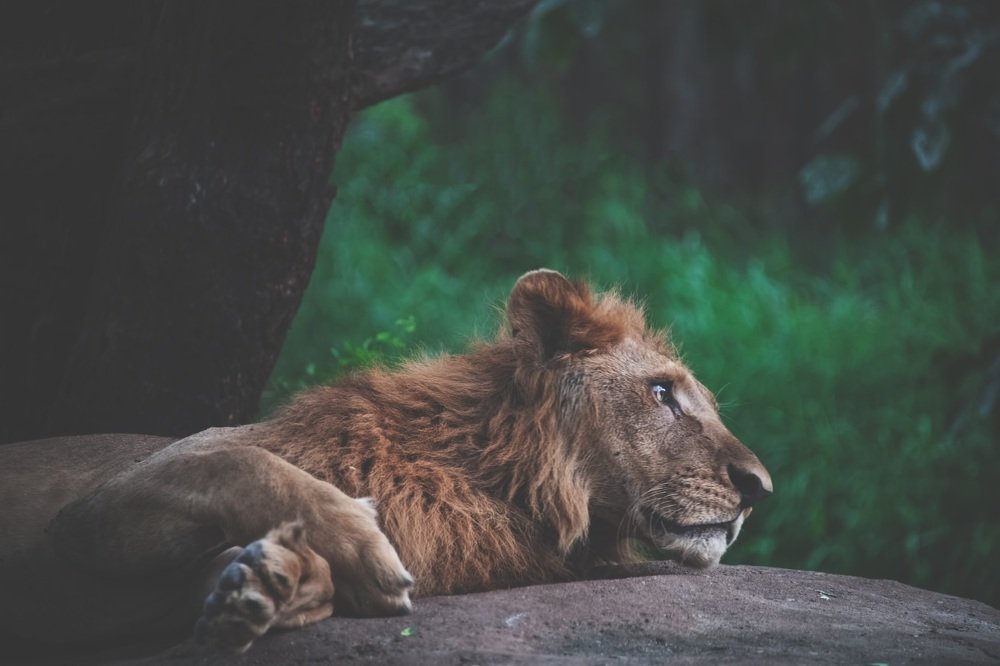 Photograph by Zaheer Abdul rahman