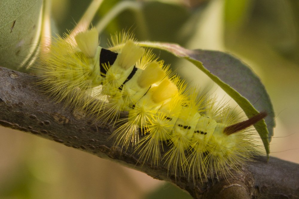Фотография автора Галина Луценко