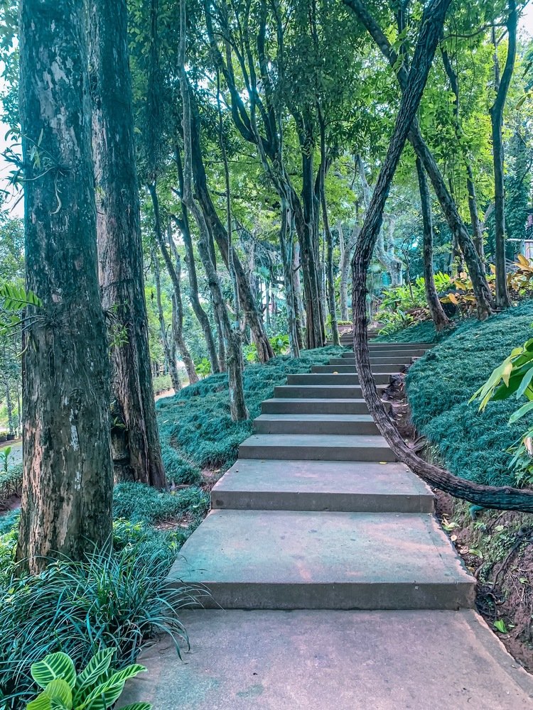 Фотография автора Norily