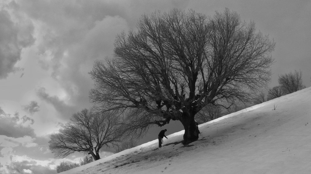 Environmental Assistance