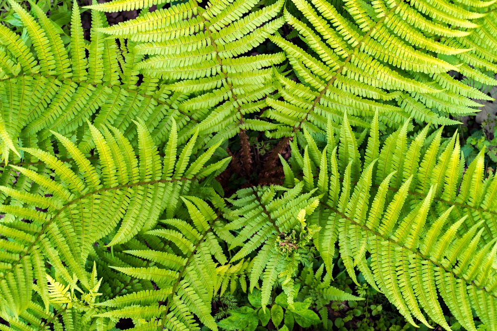 Photograph by Евгений Драбленков