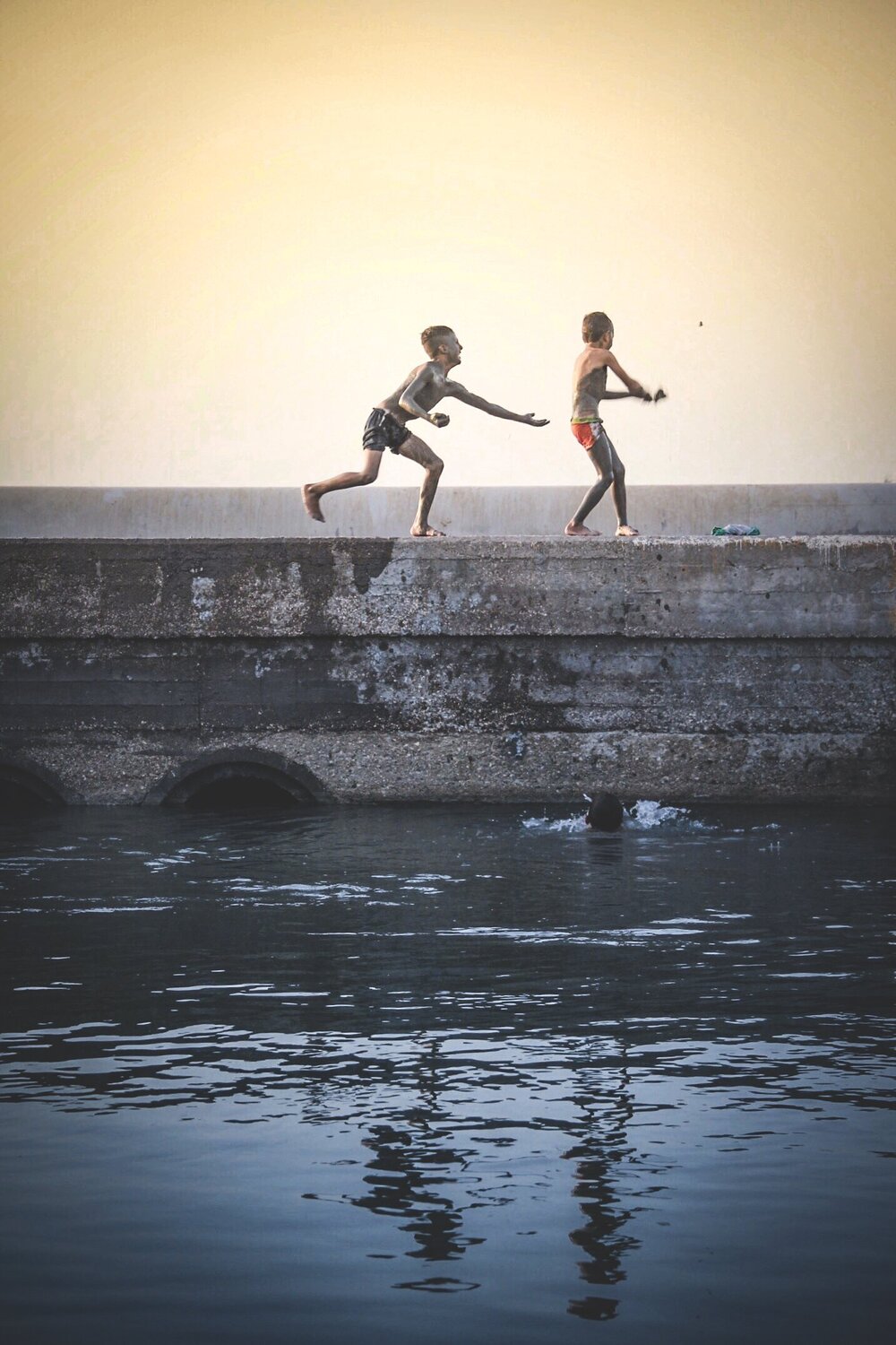 Photo #3565182