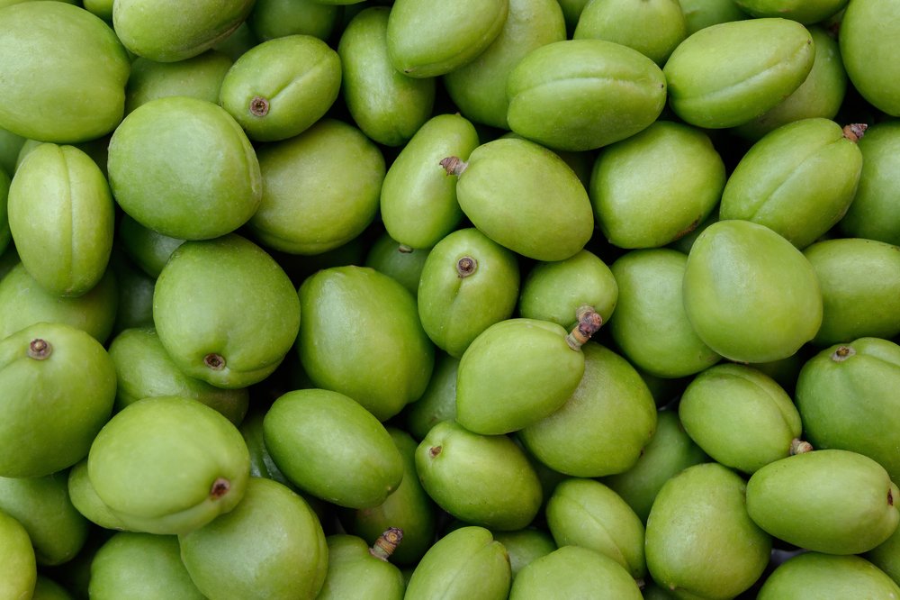 Photograph by Ольга Сондор