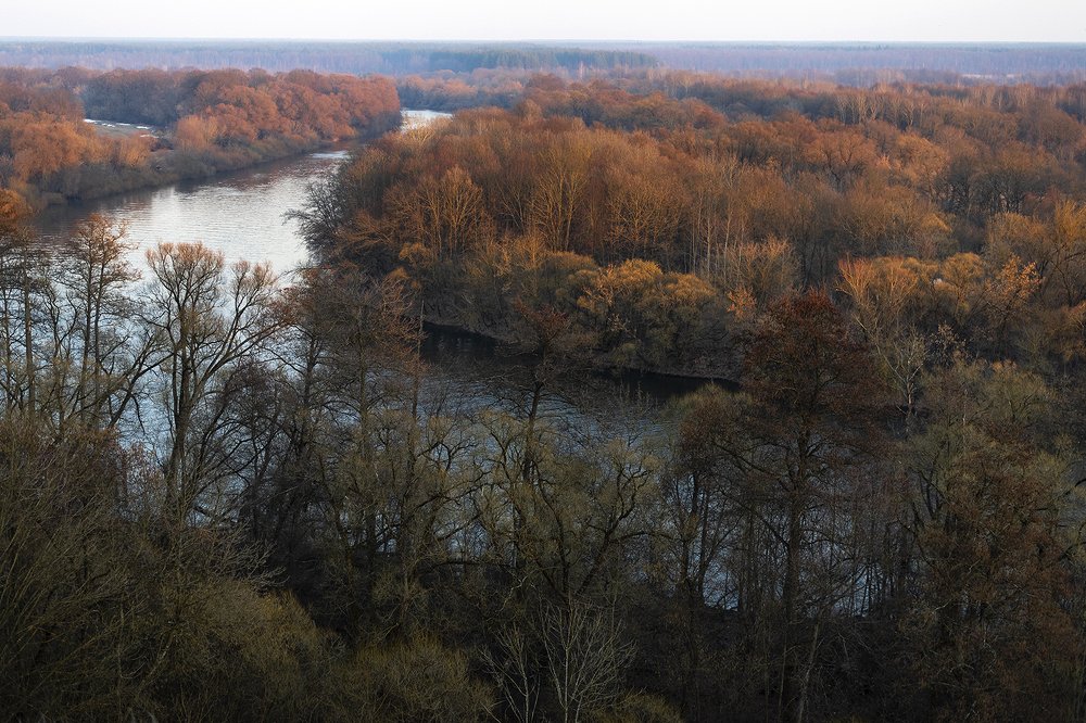 Река Десна, Брянская область, март 2019