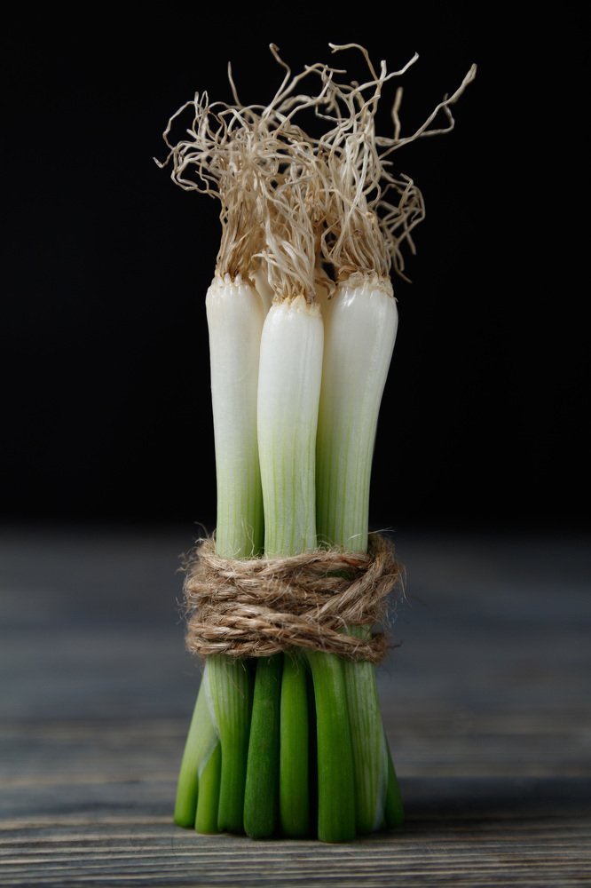 Photograph by Ольга Сондор