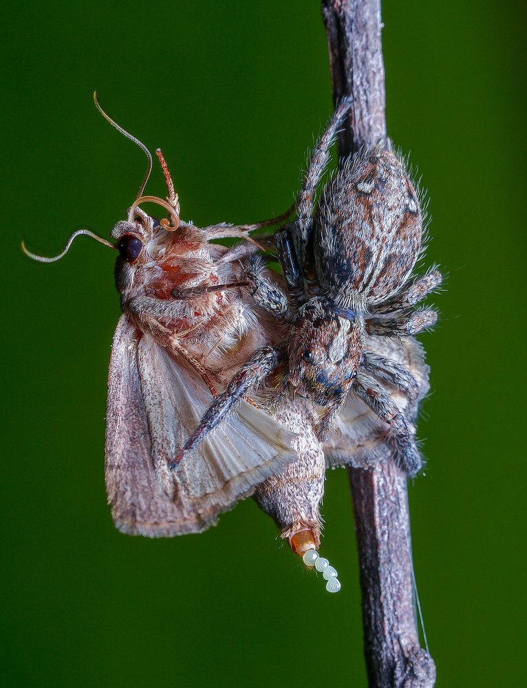 Photograph by sudipta mani
