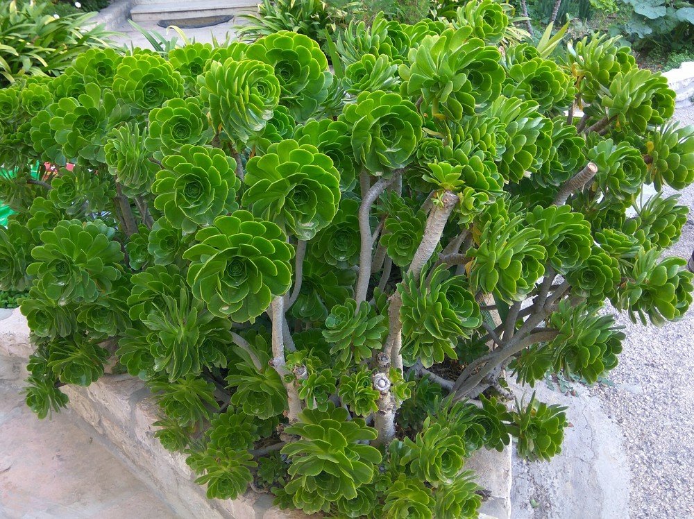 Photograph by Galina Rashap