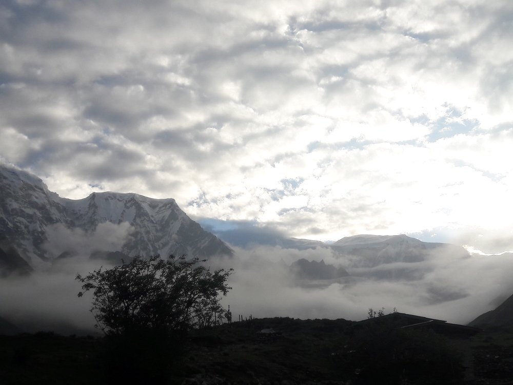 Photo #3565354