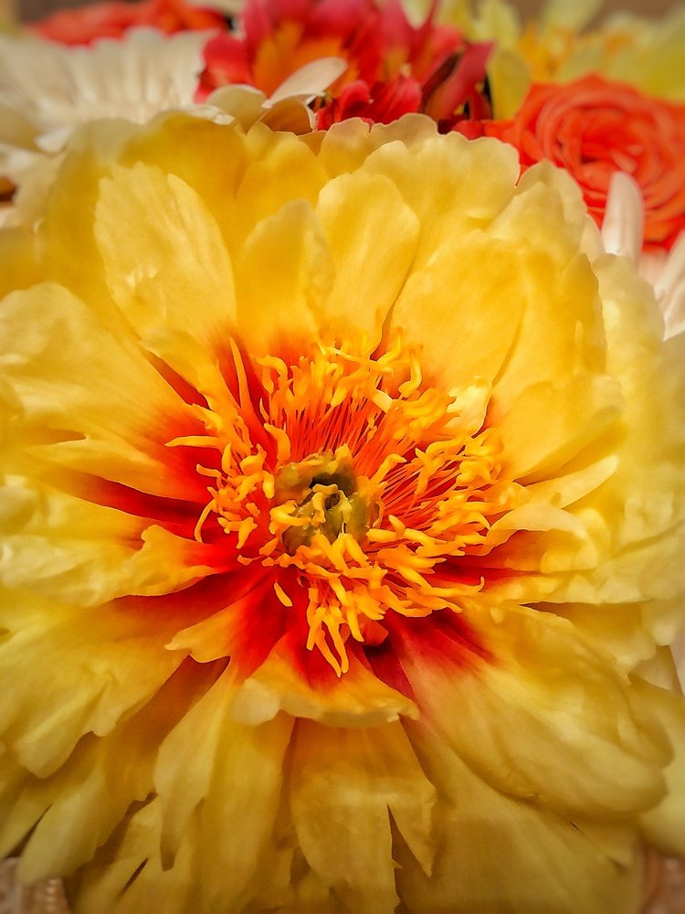 Photograph by Александр Мокеев