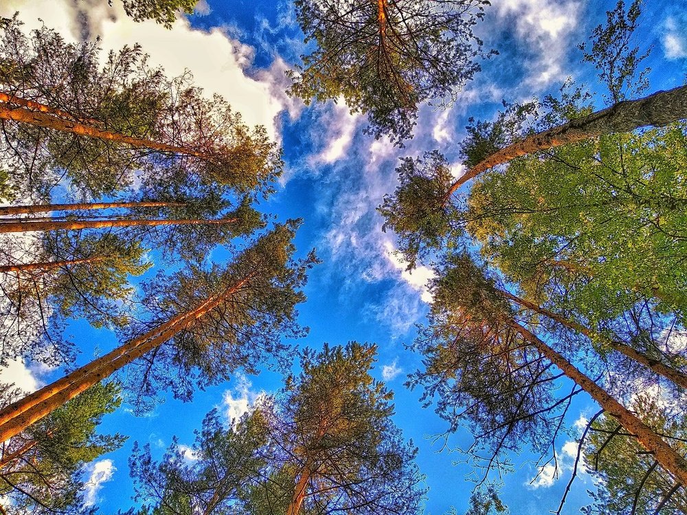 Photograph by Александр Мокеев